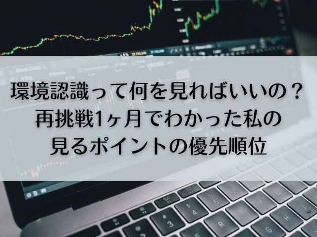 【環境認識って何を見ればいいの？】再挑戦1ヶ月でわかった私の見るポイントの優先順位